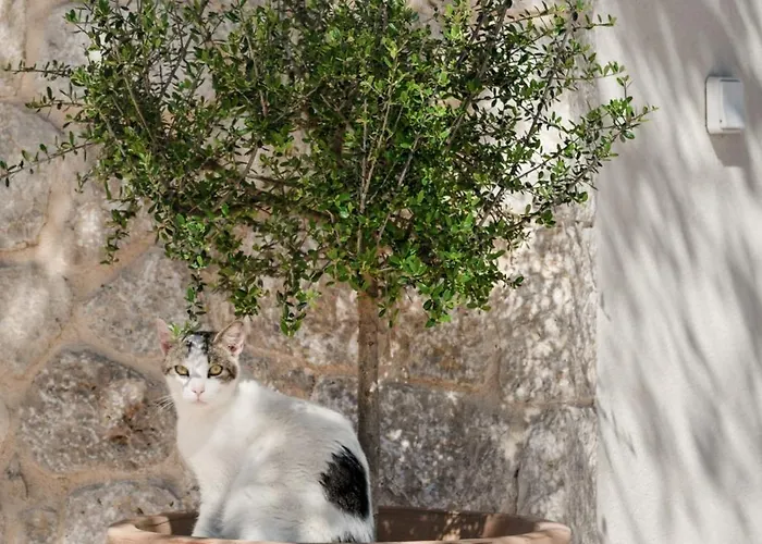 Olithos 2 Lejlighed *