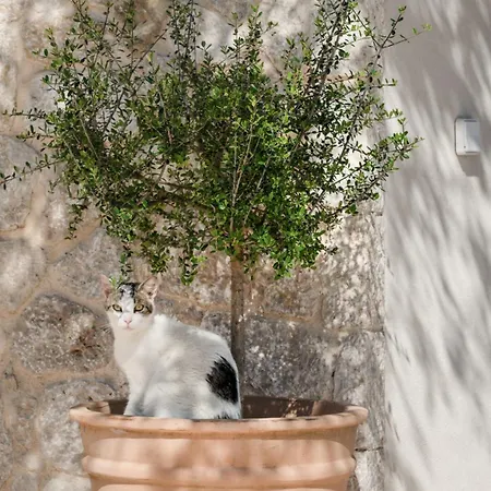 Olithos 2 Lägenhet *