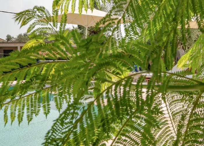 Apartament Olithos 2 *